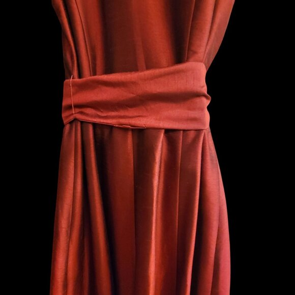 Vintage Sleeveless Button-Up Dress With Pleated Skirt & Collared Neckline In Ric - Picture 10 of 16